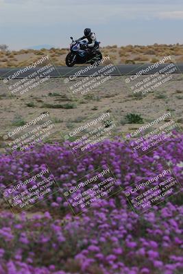 media/Jan-14-2023-SoCal Trackdays (Sat) [[497694156f]]/Turn 14 Exit Bloomig (145pm)/